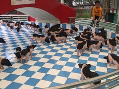 -百万葵园