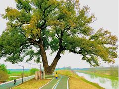 -乌龙涧铁道铁轨景