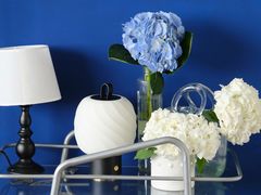 -圣·阿列克谢耶夫教堂