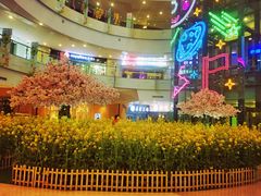 -当当书店(国泰广场店)