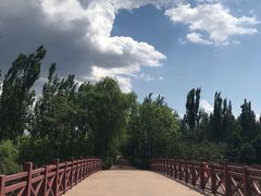 -大兴滨河森林公园