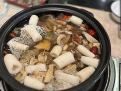 -蘑统田下·野生菌火锅