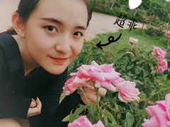 -亚龙湾国际玫瑰谷