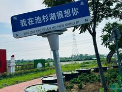 -池杉湖湿地公园