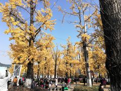 -百林公园-两江幸福广场