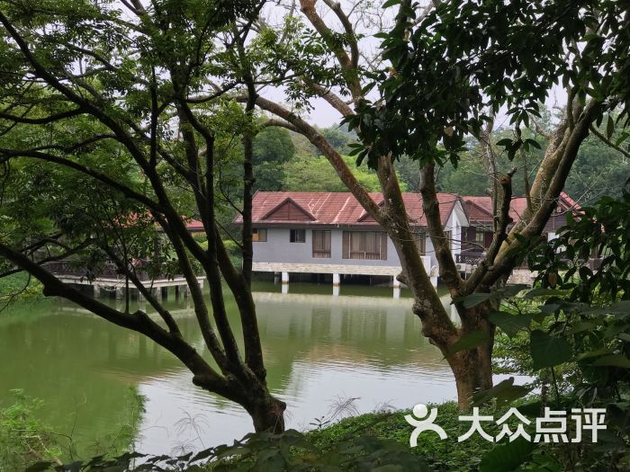 綠島旅遊山莊-圖片-饒平縣周邊遊-大眾點評網