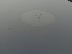 -黑油山景区