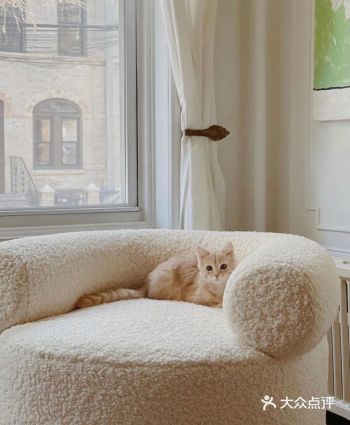 『分享篇』舒适感爆棚的沙发