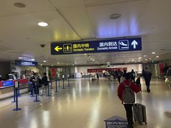 -合肥新桥国际机场-航站楼