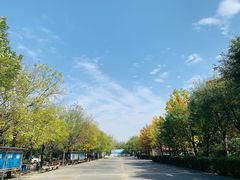 -西安正华驾校