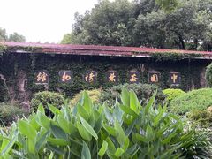 -中国茶叶博物馆(双峰馆区)