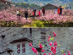 -常德桃花源景区