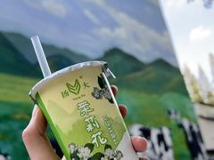 -扬大康源乳业鲜奶吧(大学北路店)