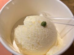 花椒冰淇淋-烤匠麻辣烤鱼(环球中心店)