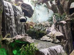 -多彩贵州城极地海洋世界