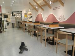 -喵园·猫主题咖啡厅·撸猫·猫咖(国贸店)