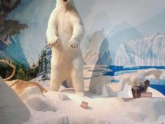 -陕西自然博物馆