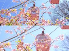 -东湖磨山景区