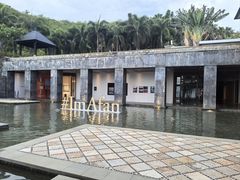 -日落吧·海景咖啡厅·餐酒吧·鸡尾酒·下午茶·乐队表演·浪漫夕阳·三亚文华东方酒店