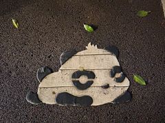 -四川农业大学(雅安校区)