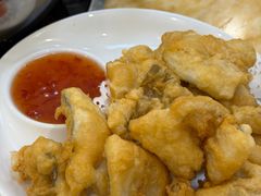-金砂阿洲鱼册店