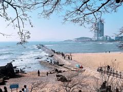 -青岛第一海水浴场