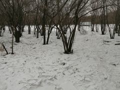 -长春市南湖公园