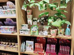 -九木杂物社(恒隆广场店)