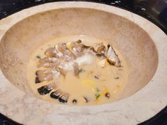 -云海肴云南菜·蒸汽石锅鱼(青岛万象城店)