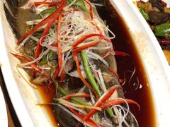 -杨乐辣子鸡(和田一街店)