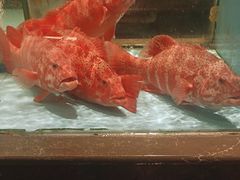 -阿伟海鲜楼·福建菜(延寿店)