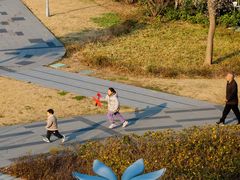 -葛仙湖公园