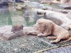 -北京野生动物园