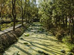 -合肥滨湖国家森林公园