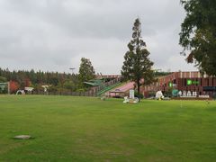 -黄海国家森林公园