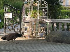 -J Create城市露营咖啡·简餐·宠物(上海动物园店)