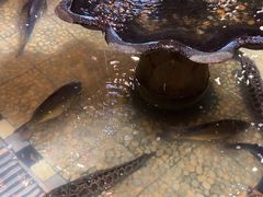 -万里闯关东铁锅炖菜馆(高新旗舰店)