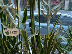 -隅乐胡椒虾·台湾菜·团建(皇岗店)