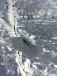 -大秃顶子山