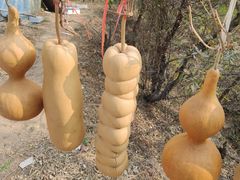 -即墨鹤山风景区