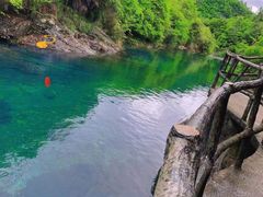 -祁门牯牛降观音堂风景区