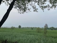 -野鸭湖国家湿地公园