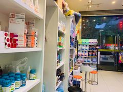 -米苏动物医院·犬猫专科·骨科外科内窥镜