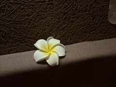 -厘舍SPA(运达店)