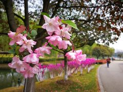 -白塘生态植物园