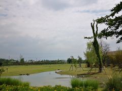 -夏河溪乡野公园
