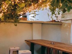 -ZING鲸鱼啤酒(葡萄院店)