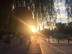 -二一九公园