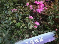 -天怡·鱼工厂(梅溪湖店)