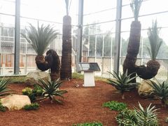 -南通洲际绿博园